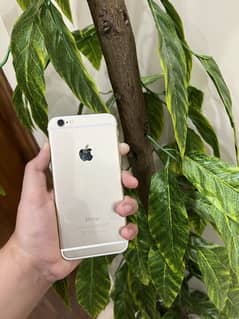Iphone 6