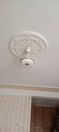 GFC Ceiling Fans in Good Condition-Urgent Sale