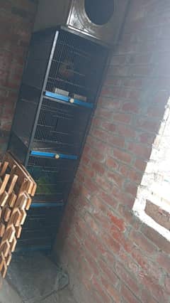 Cage for use birds