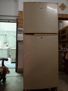 PEL ka original fridge chill cooling main jenuine cmpresor  k sth