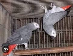|