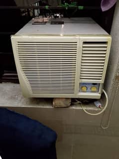 shep ac