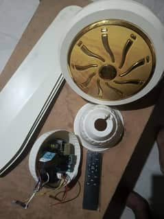 Invertor ceiling fan for sale