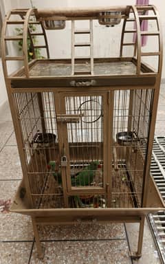 Fancy Cage with Parrot