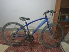 cycly