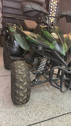 Green reptor 250cc