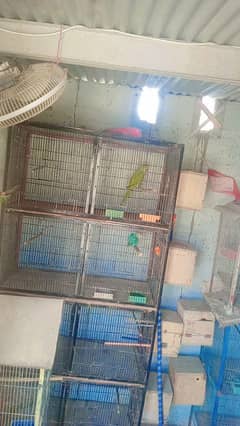 Cage/ parrot cage/ 8 portion cage / love bird cage