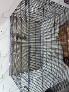 bird or cat cage