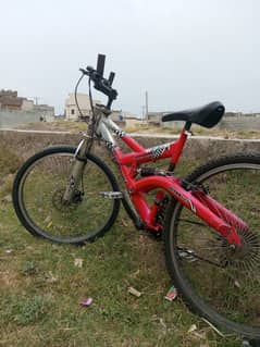 Bicycle for sale
