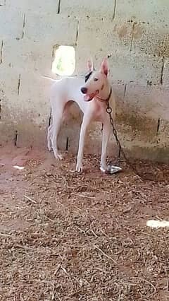 khowati
