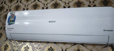 orient