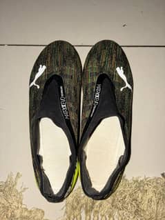 puma