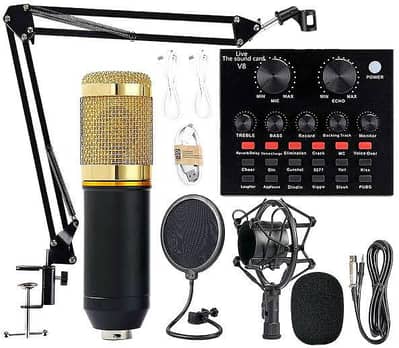 Professional Condenser Microphone Bm 800 Studio Mic