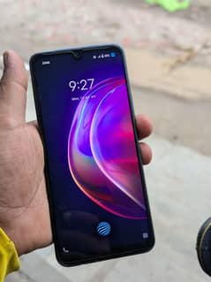 vivo