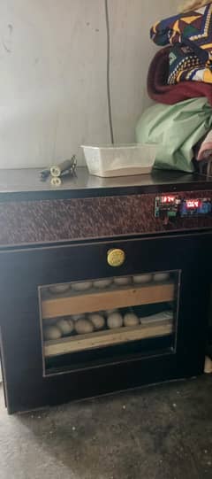 egg incubator