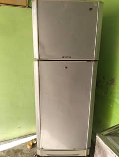 Pell large size frigde perfect cooling orignal compressor , copper