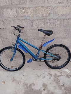 cycle