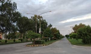 2 Kanal Plot For Sale In Bolan Block