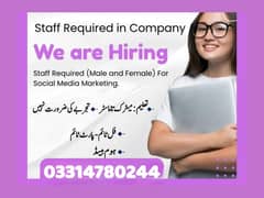 Typing job / Data Entry Job / Assignment Job / Online Job / Part Time