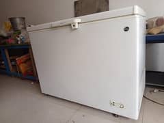Pel Deep Freezer For Sale