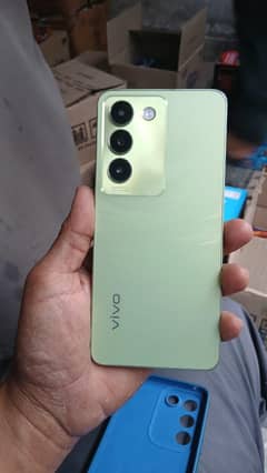 Vivo Y100 (8+8/256)