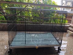 Pet cage, cat / bird.
