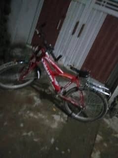 Cycle