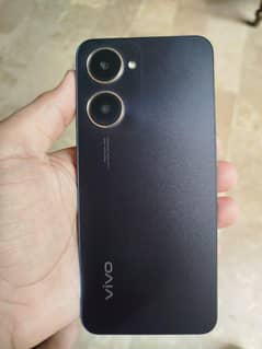 vivo