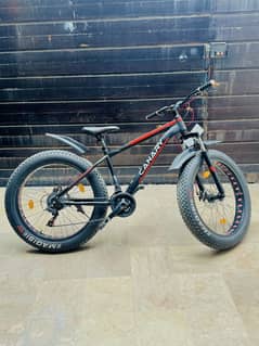 Fat bike