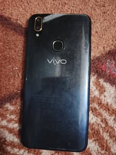 vivo