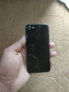 Apple 7  03090539024