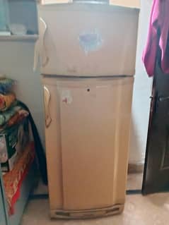 PEL frige