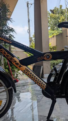 Phoenix Cycle