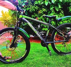 Dolphine River bicycle