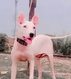 kuhati