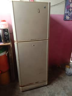 PEL fridge
