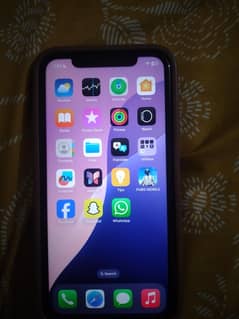I phone Xr