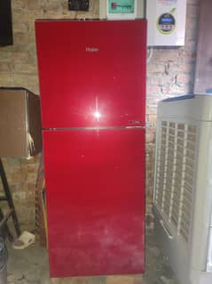 Haier E-Star fridge