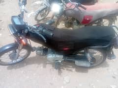 Union Star 70cc 2021