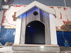Cat Home for sale