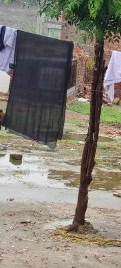 گھر سے گھر تک سروس