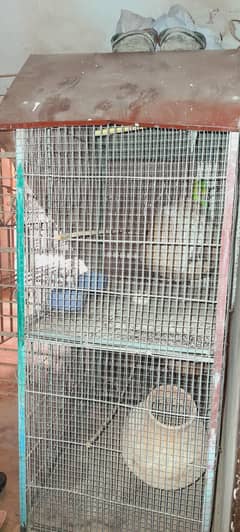 2 portion cage