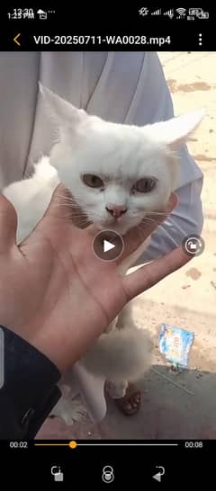 rakna k jaga Nhi hai