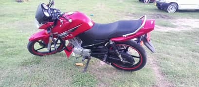 Yamaha YBR 125 Model 2017 For Sale