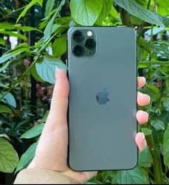 iphone 11 pro max approve