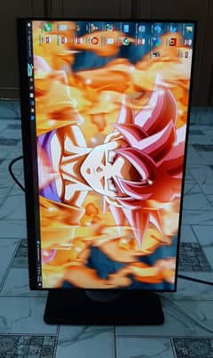 Dell 24inch IPS Bazzelless HDMI C-Type Gaming LED Monitor