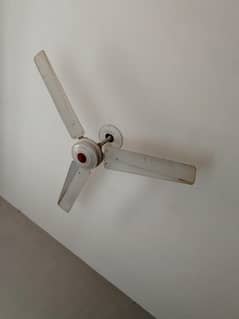 Ceiling