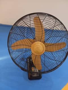 Royal Bracket fan