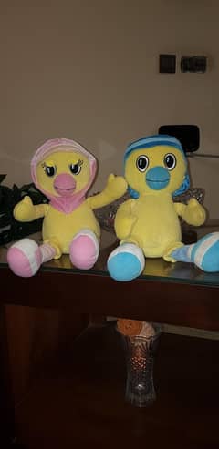 Blue and pink duck pair