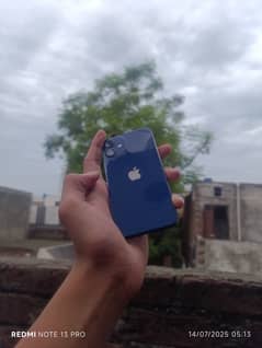 iphone 12 mini